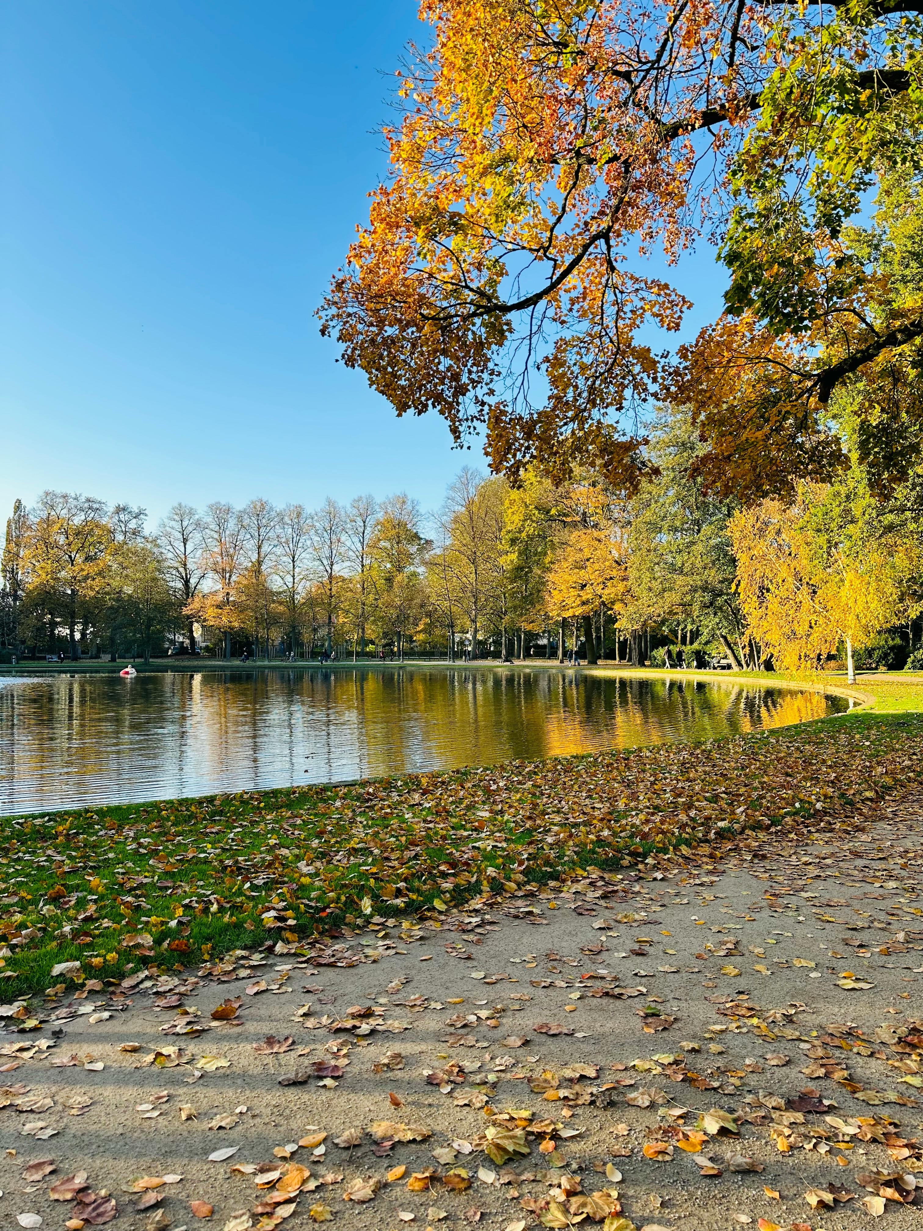 Parc de la Tête d'Or à Lyon avec lac et promenade
